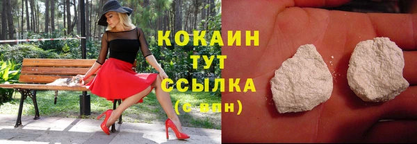 твердый Нягань