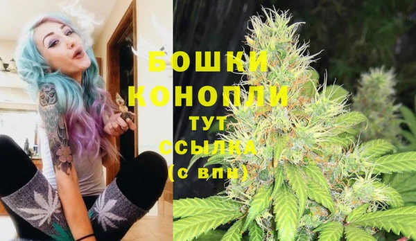 твердый Нягань