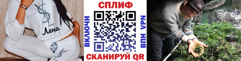 Шишки марихуана планчик  Купить  Усть-Катав 